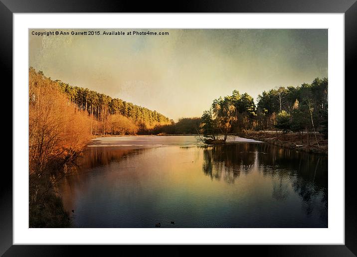 Fishing Pool, Birches Valley, Cannock Chase Framed Mounted Print by Ann Garrett
