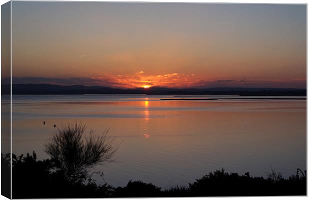  Winter Sunset Poole Harbour Canvas Print by Craig Lewis
