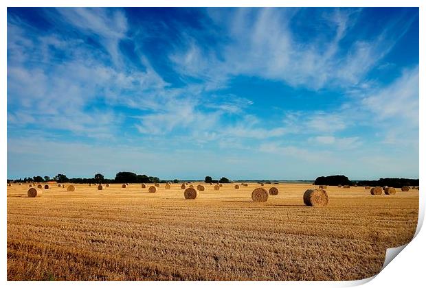  Harvest in Norfolk Print by Broadland Photography