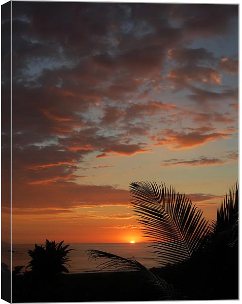 Colourful Sunset Canvas Print by james balzano, jr.