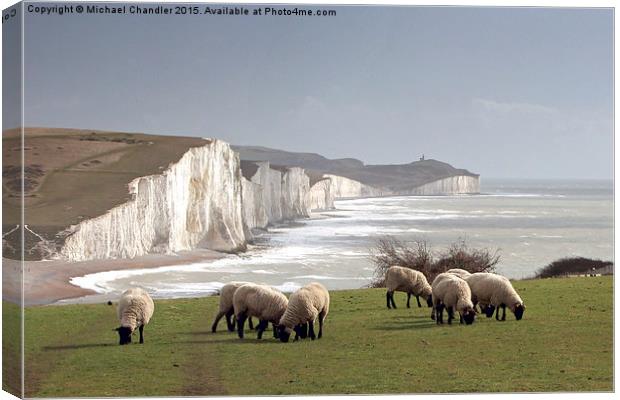  The Seven Sisters Canvas Print by Michael Chandler