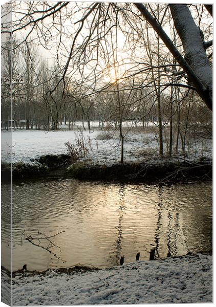 Snowy River Canvas Print by Dave Windsor