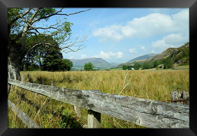  field of dreams lake district Framed Print by pristine_ images