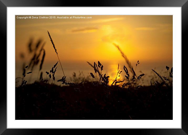 Wispy Sunset Framed Mounted Print by Zena Clothier