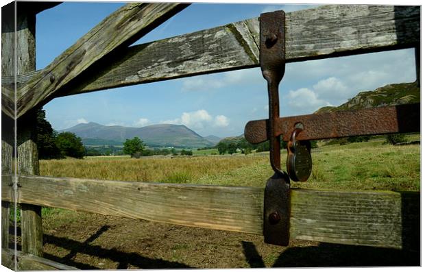  Gate with a view Canvas Print by pristine_ images