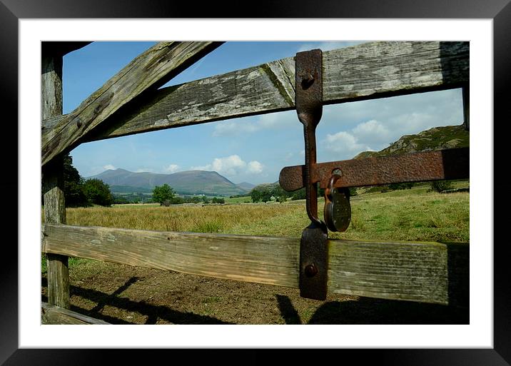  Gate with a view Framed Mounted Print by pristine_ images