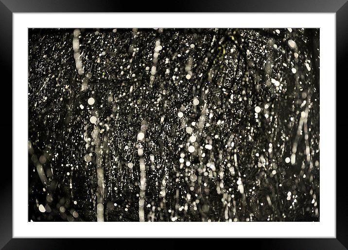  Sparkling raindrops on Hawthorn branches Framed Mounted Print by Andrew Kearton