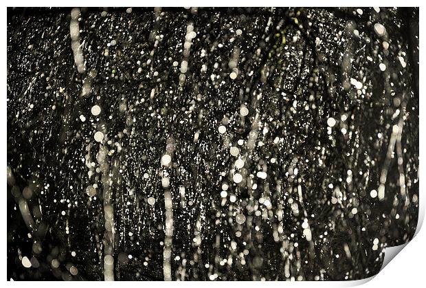  Sparkling raindrops on Hawthorn branches Print by Andrew Kearton
