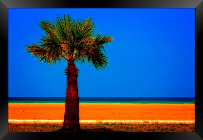 A digitally converted painting of a lone palm tree Framed Print by ken biggs