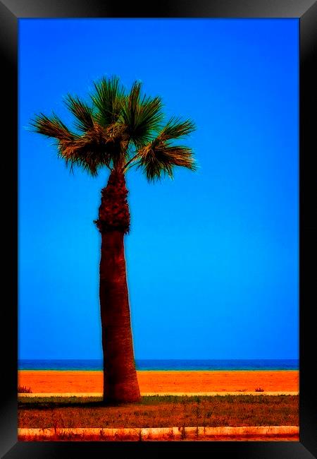 A digitally converted painting of a lone palm tree Framed Print by ken biggs