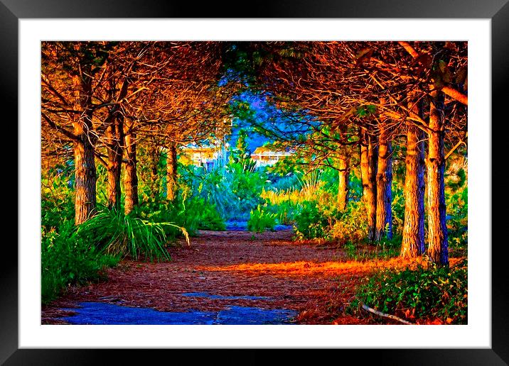 Digital painting of colouful trees in autumn fall Framed Mounted Print by ken biggs