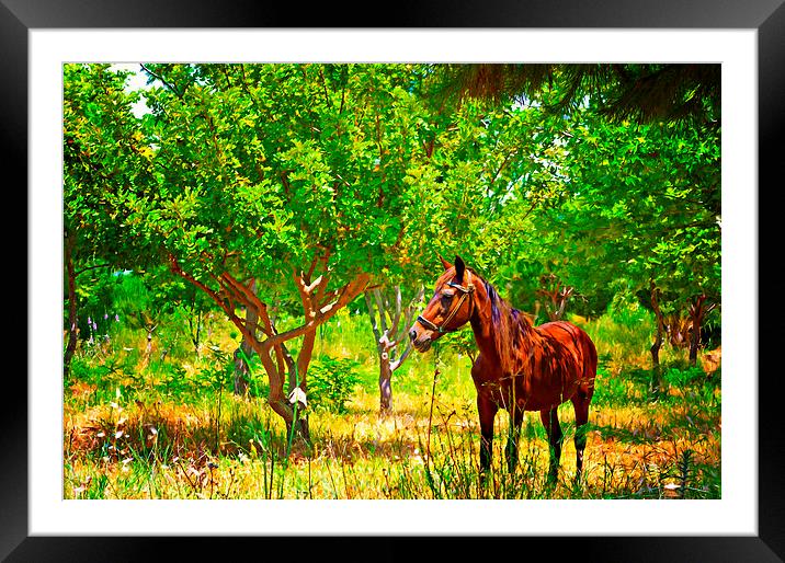Digital painting of a chestnut horse out grazing i Framed Mounted Print by ken biggs
