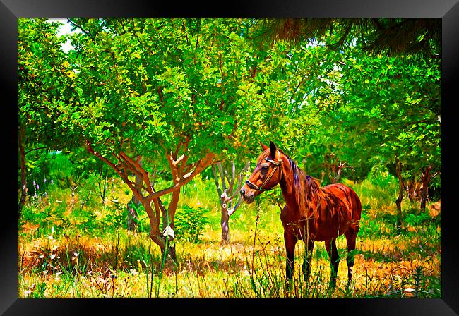 Digital painting of a chestnut horse out grazing i Framed Print by ken biggs