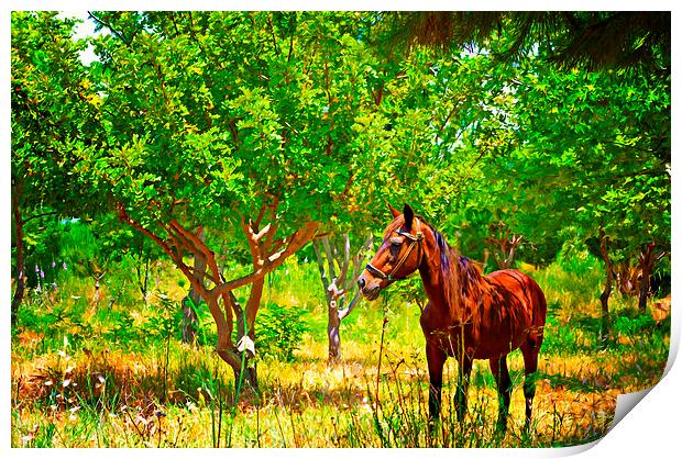 Digital painting of a chestnut horse out grazing i Print by ken biggs