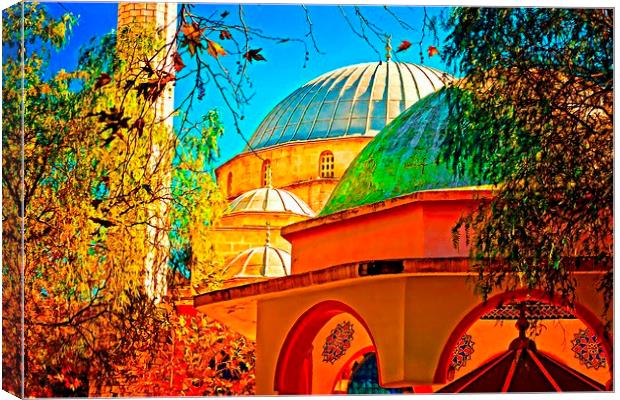 Digital painting of a colouful Turkish Mosque Canvas Print by ken biggs