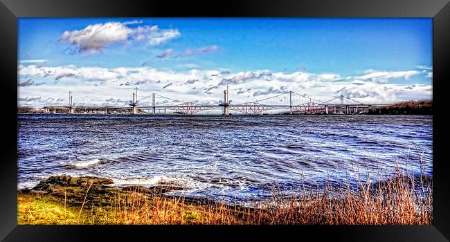 New Forth Crossing - 3 March 2015 Framed Print by Tom Gomez