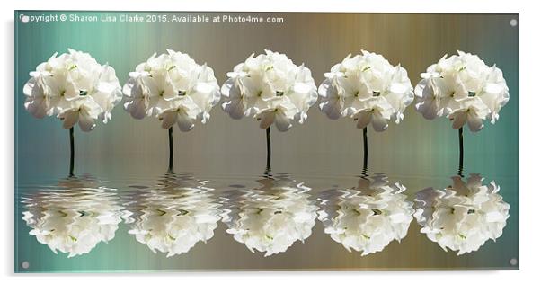  Five Geraniums Acrylic by Sharon Lisa Clarke