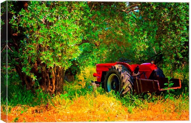 Digital painting of a red tractor in an olive grov Canvas Print by ken biggs