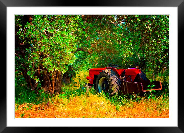 Digital painting of a red tractor in an olive grov Framed Mounted Print by ken biggs