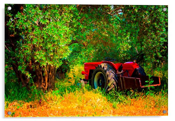 Digital painting of a red tractor in an olive grov Acrylic by ken biggs