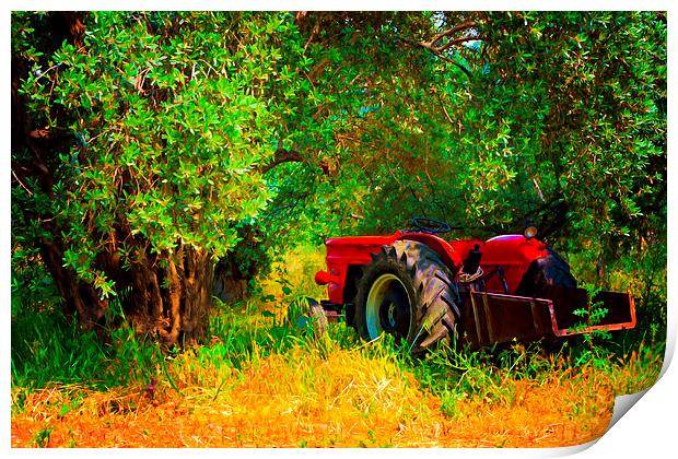 Digital painting of a red tractor in an olive grov Print by ken biggs
