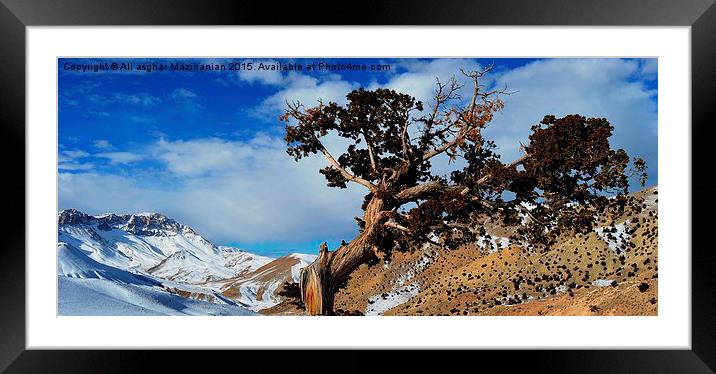 under the cloudy sky, Framed Mounted Print by Ali asghar Mazinanian