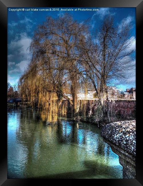 winters weeping willow  Framed Print by carl blake