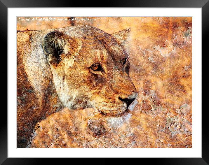 Rusty Lioness Framed Mounted Print by Paul Fell