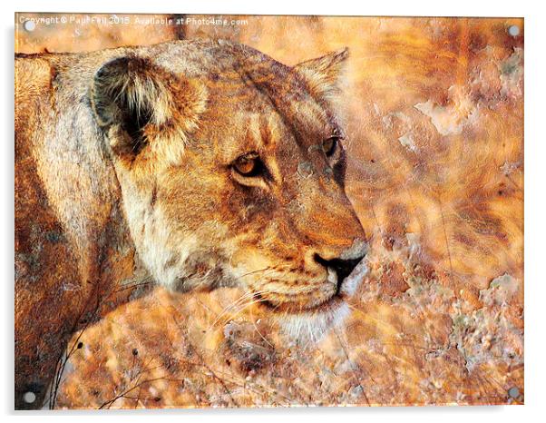 Rusty Lioness Acrylic by Paul Fell