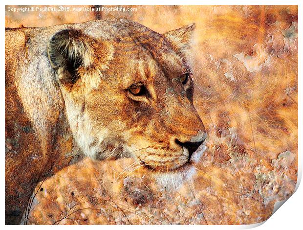 Rusty Lioness Print by Paul Fell
