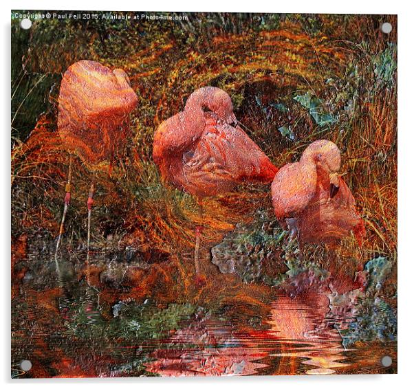 Flamingo Rust Acrylic by Paul Fell