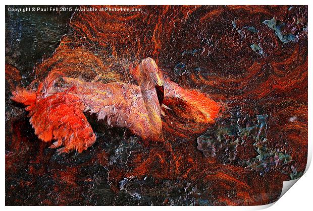 Flamingo Rust Print by Paul Fell
