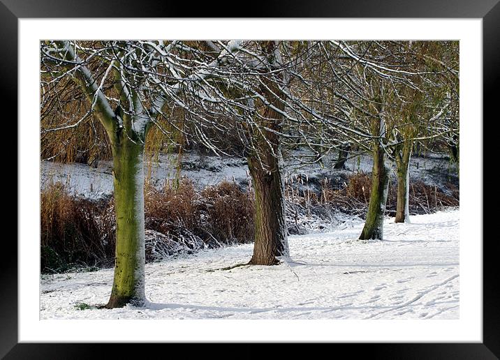 SNOWSCENE AT THE LOCAL PARK Framed Mounted Print by Ray Bacon LRPS CPAGB