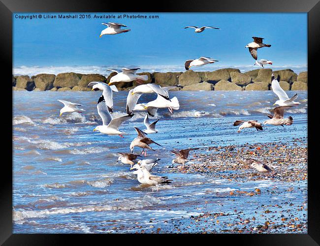  Seagulls on the Beach. Framed Print by Lilian Marshall