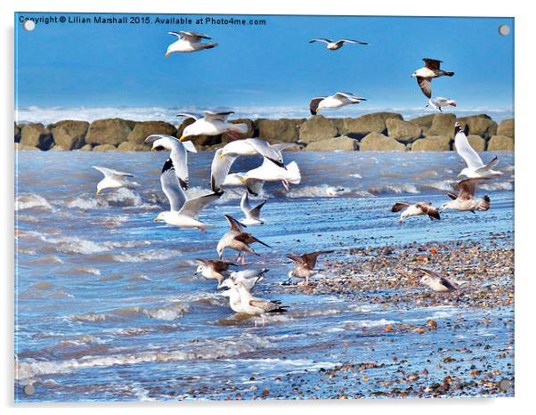  Seagulls on the Beach. Acrylic by Lilian Marshall