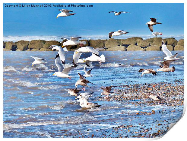  Seagulls on the Beach. Print by Lilian Marshall