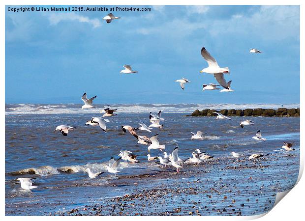  Seagulls on the Beach, Print by Lilian Marshall