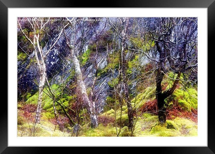  The colours of wet trees in rain. Framed Mounted Print by Peter Jones