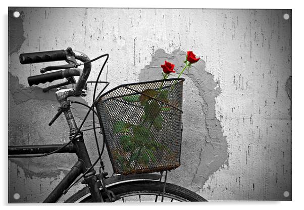 Red roses in basket of old rusty bicycle Acrylic by ken biggs