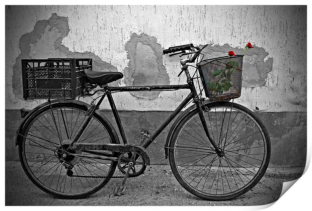 Red roses in basket of old rusty bicycle Print by ken biggs