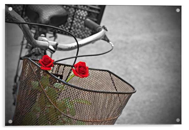 Red roses in basket of old rusty bicycle Acrylic by ken biggs