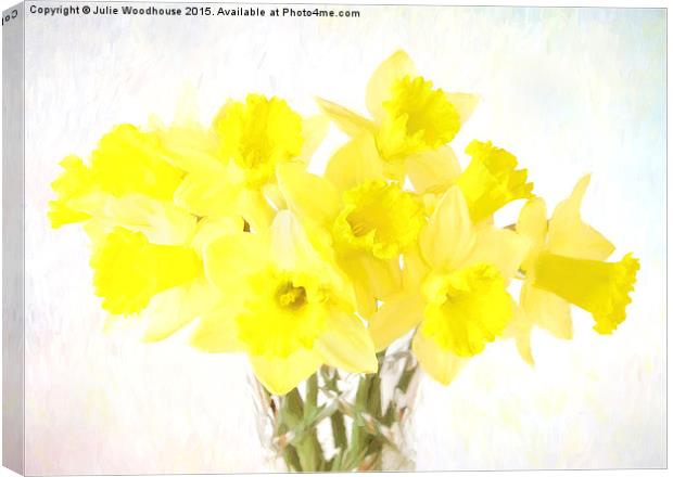 Daffodils Canvas Print by Julie Woodhouse