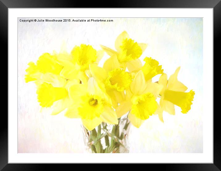 Daffodils Framed Mounted Print by Julie Woodhouse
