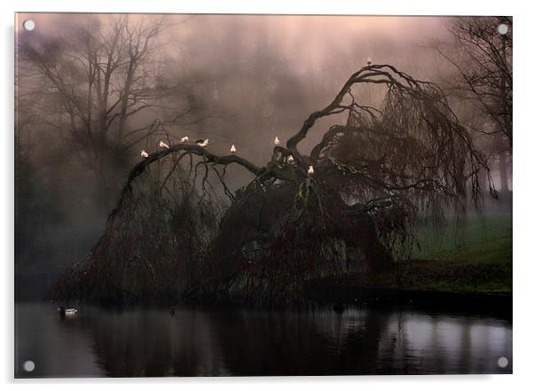 Eerie weeping willow tree in the fog Acrylic by ken biggs