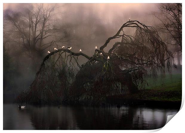 Eerie weeping willow tree in the fog Print by ken biggs