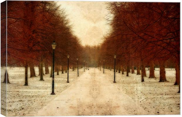 Vintage tree lined pathway through park in winter  Canvas Print by ken biggs