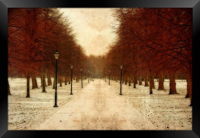 Vintage tree lined pathway through park in winter  Framed Print by ken biggs
