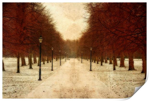 Vintage tree lined pathway through park in winter  Print by ken biggs