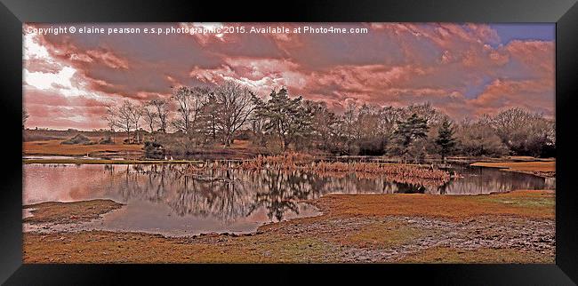  The first day Framed Print by Elaine Pearson