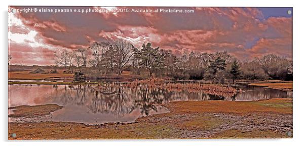  The first day Acrylic by Elaine Pearson